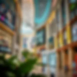 A Comprehensive Exploration of Damac Hills Mall in Dubai Introduction