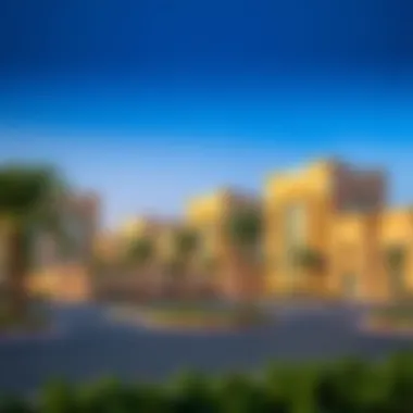 A Comprehensive Overview of Al Warsan: The Emerging Hub of Dubai Summary