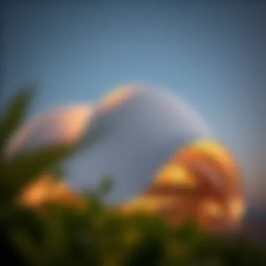 Museum of the Future: A Visionary Structure The elegant curves of the Museum of the Future