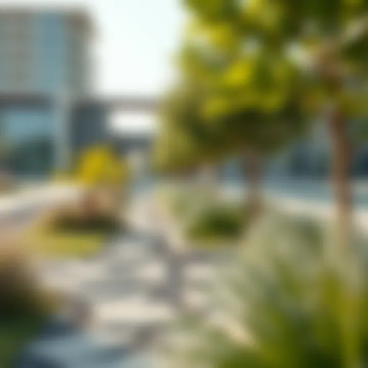 Sustainable Landscaping Initiatives Sustainable landscaping project by Al Barari Construction