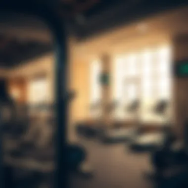 Modern fitness center within Al Furjan Club equipped with state-of-the-art equipment