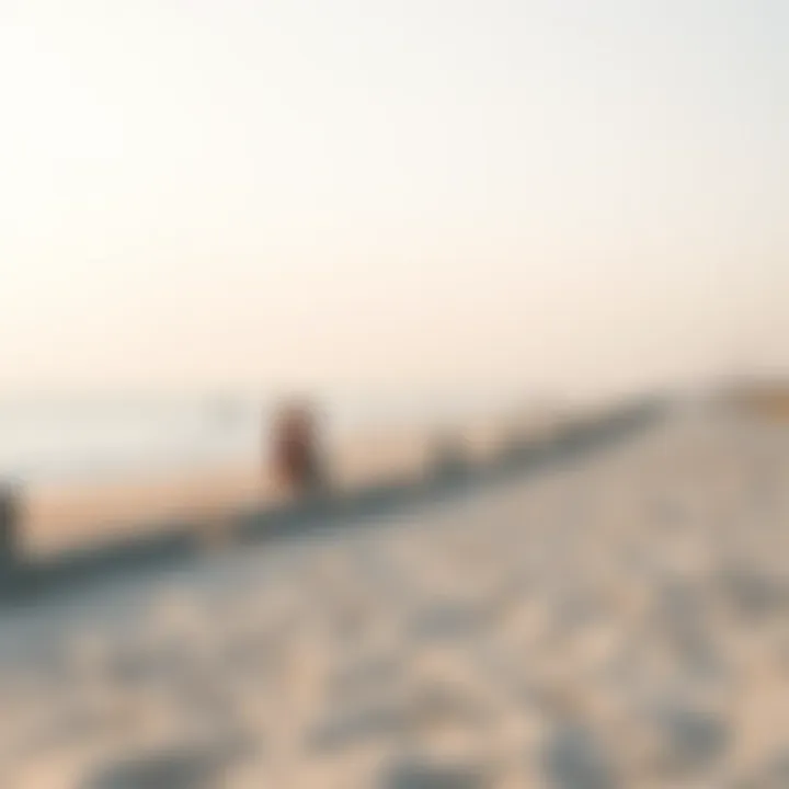 Notable Exploring Bateen Ladies Beach: A Deep Dive into Dubai's Unique Gem