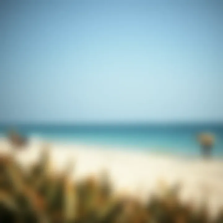 Exploring Bateen Ladies Beach: A Deep Dive into Dubai's Unique Gem Summary