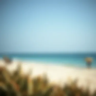Exploring Bateen Ladies Beach: A Deep Dive into Dubai's Unique Gem Summary Exploring Bateen Ladies Beach: A Deep Dive into Dubai's Unique Gem Summary
