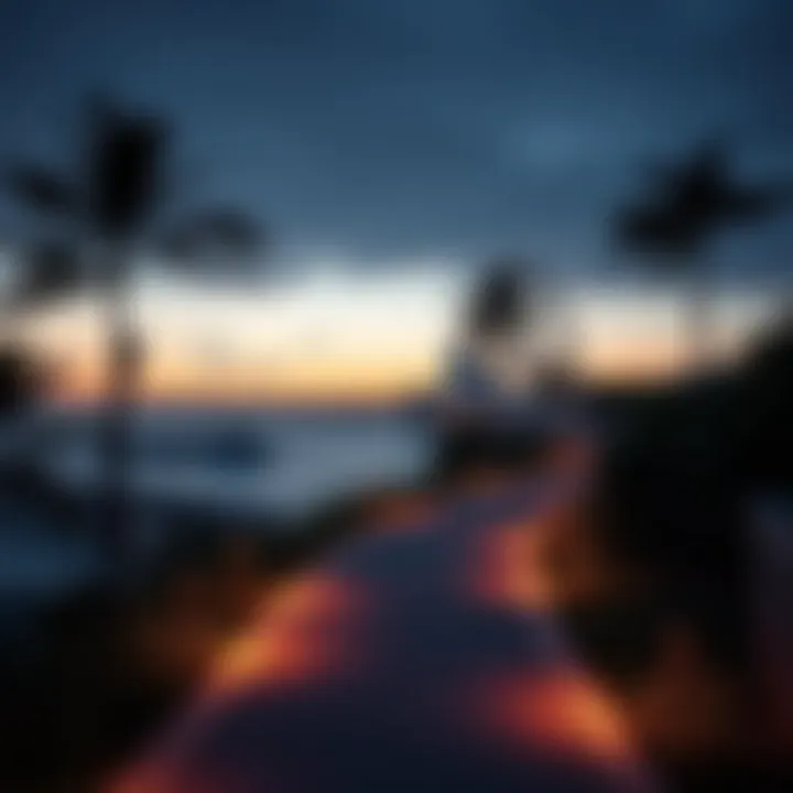 Scenic pathway leading from metro station to Blue Water Island