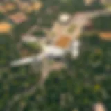 Aerial Perspective of Dubai's Lush Wild Area Aerial view of Dubai's Wild Area showcasing lush landscapes.