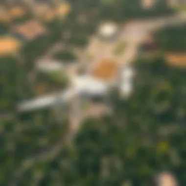 Aerial Perspective of Dubai's Lush Wild Area Aerial view of Dubai's Wild Area showcasing lush landscapes.