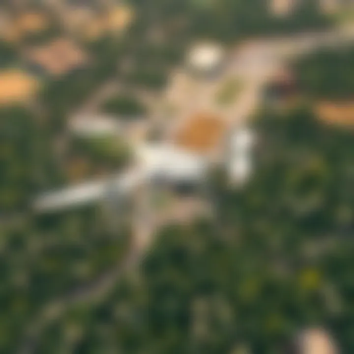 Aerial Perspective of Dubai's Lush Wild Area Aerial view of Dubai's Wild Area showcasing lush landscapes.