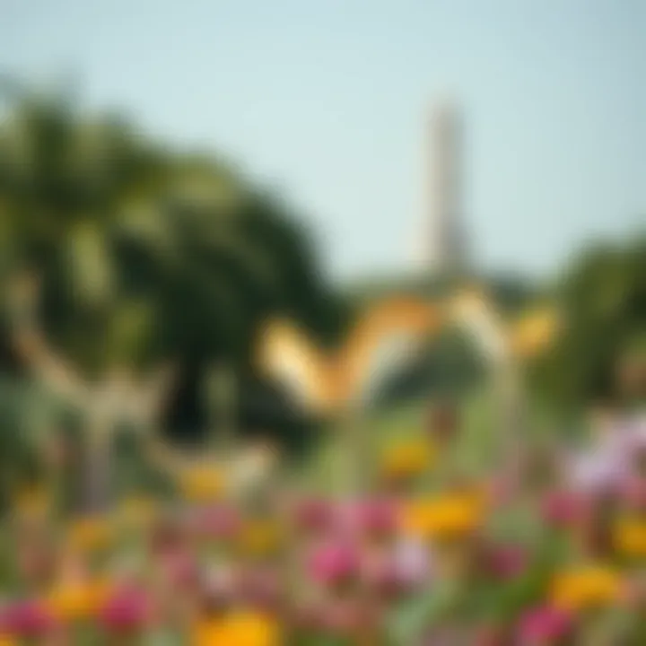 Serene Landscape of Vibrant Flora in the Wild Area Tranquil scene of Dubai's Wild Area with vibrant flora.