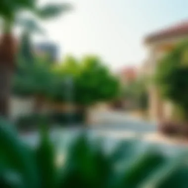 A serene neighborhood in Dubai with lush greenery