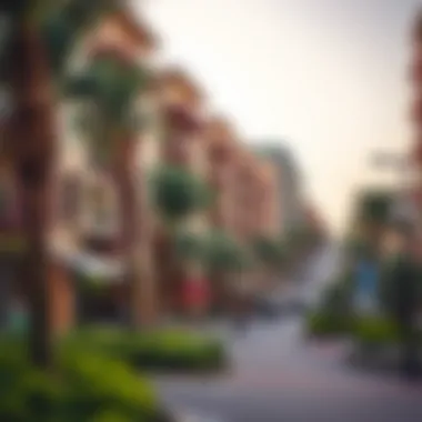 Mirdif neighborhood with parks and amenities