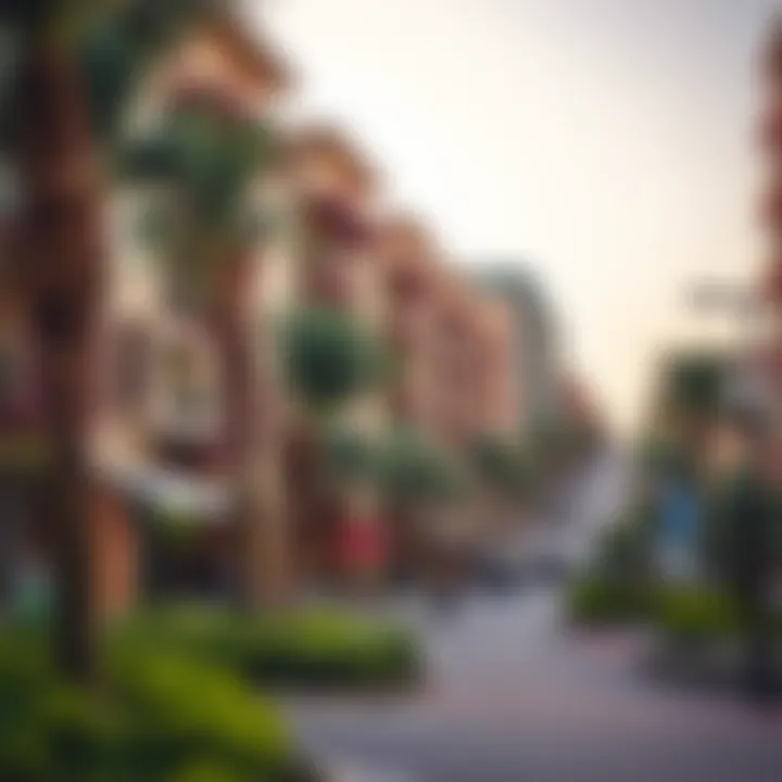 Mirdif neighborhood with parks and amenities