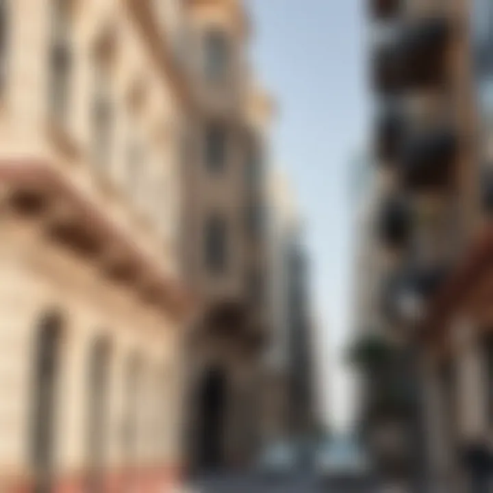 Close-up of unique architectural details along Sheikh Rashid Bin Saeed Street