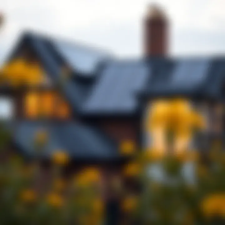 Exploring Solar Panels for Home Use: A Comprehensive Guide Summary