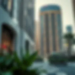 Exploring the 11 11 Sale in Dubai: An Insightful Overview Introduction