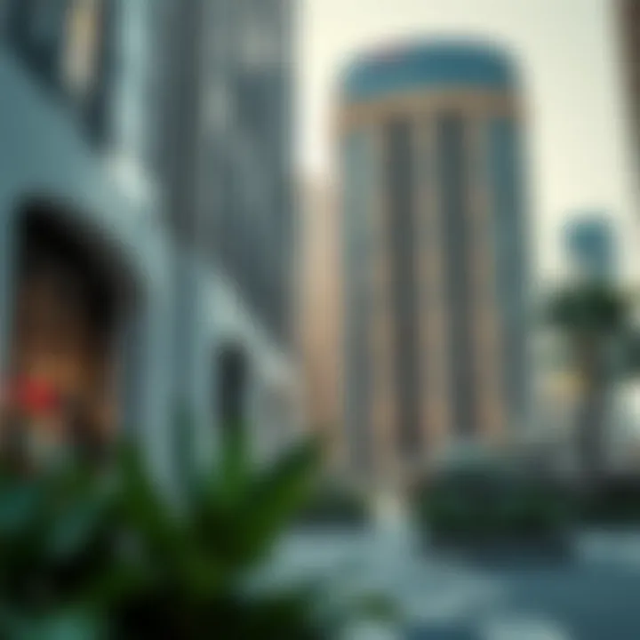 Exploring the 11 11 Sale in Dubai: An Insightful Overview Introduction