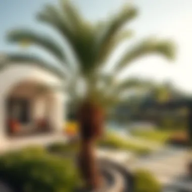 A beautifully landscaped garden featuring Adagio Palms