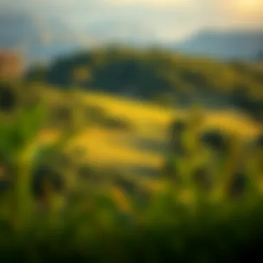 Sustainable Development in Luxury Real Estate Green landscapes highlighting environmental aspects of land