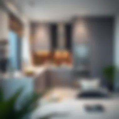 Modern kitchen design in a Dubai 1 BHK