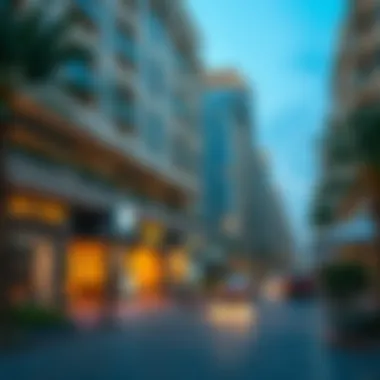 Vibrant Streetscape of Warsan 4 Vibrant streetscape of Warsan 4 reflecting lifestyle and living conditions