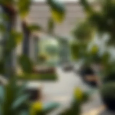 Green living spaces and nature