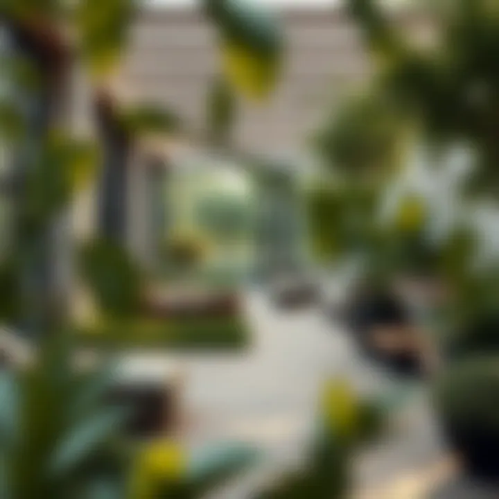 Green living spaces and nature