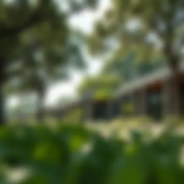 Lush greenery and serene environment surrounding Keturah Reserve