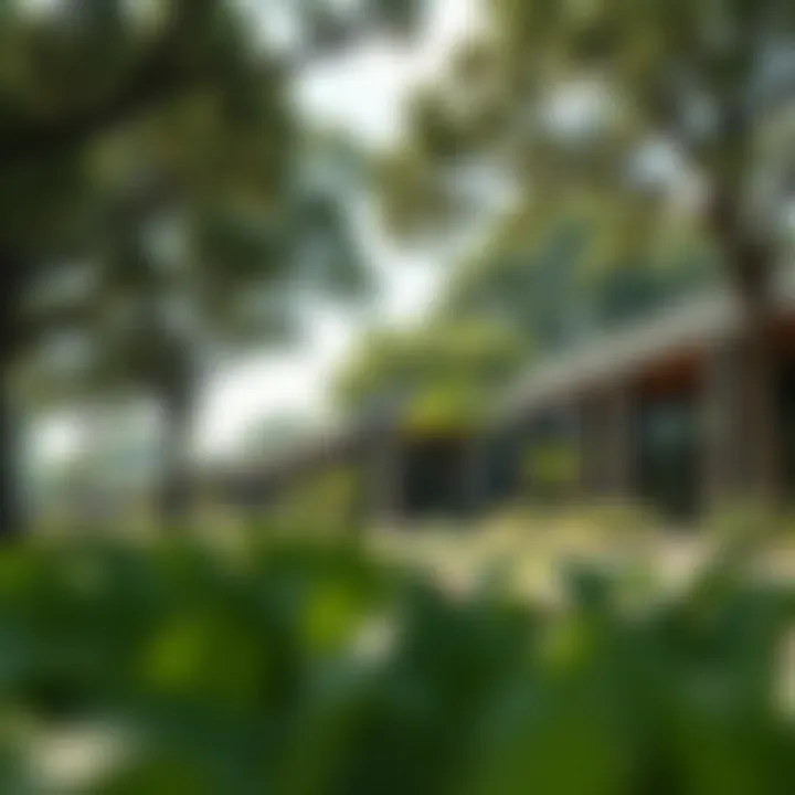 Lush greenery and serene environment surrounding Keturah Reserve