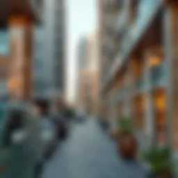 Navigating the Landscape of Rental Spaces in Deira Introduction