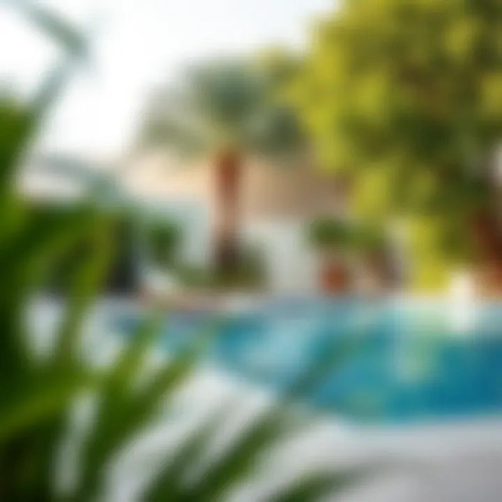 Relaxing Outdoor Pool Space Inviting outdoor pool area surrounded by greenery