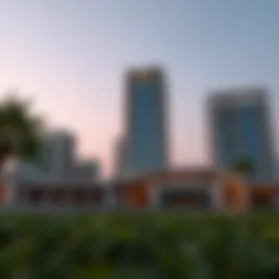 The Imprint of Abdulwahed Bin Shabib on Dubai's Real Estate Landscape Introduction