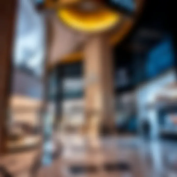 Luxury Shopping in Dubai Exclusive shopping district showcasing high-end brands