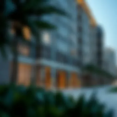 Understanding the Role of Mushrif in Dubai’s Luxury Real Estate Market Summary