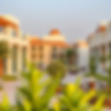 Community Spaces and Amenities in Wasl Village Vibrant community spaces and local amenities in Wasl Village